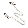 Nipple Clamps With Chain